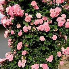 111位のイメージ