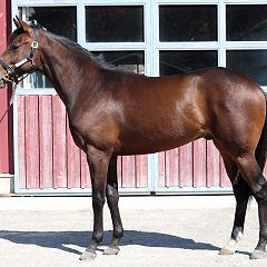 47位のイメージ