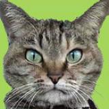 28位のイメージ