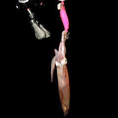 18位のイメージ