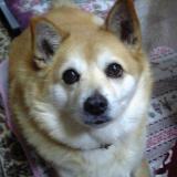 51位のイメージ