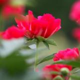 25位のイメージ