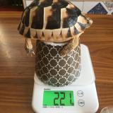 13位のイメージ