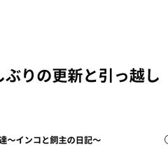 34位のイメージ