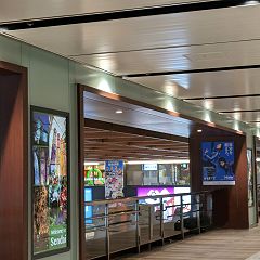 152位のイメージ