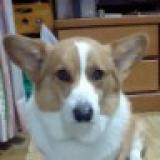 10位のイメージ