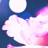 20位のイメージ