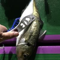 23位のイメージ