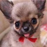 19位のイメージ