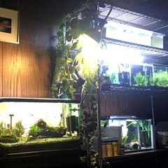 15位のイメージ