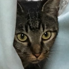 37位のイメージ