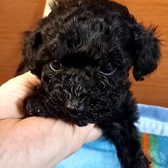 243位のイメージ