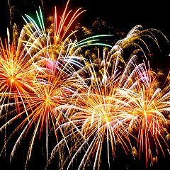 201位のイメージ