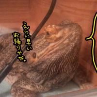 110位のイメージ