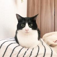 16位のイメージ