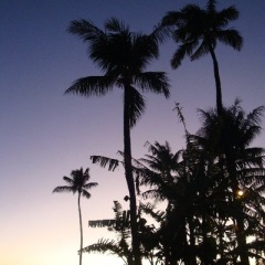 82位のイメージ