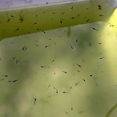 29位のイメージ