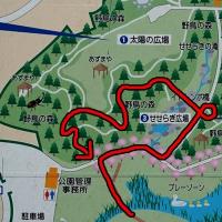 177位のイメージ