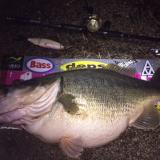 86位のイメージ