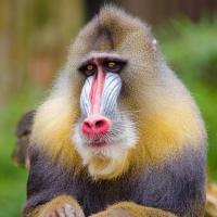 18位のイメージ