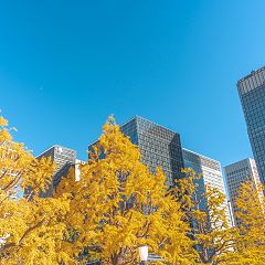 41位のイメージ