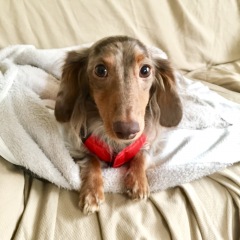 12位のイメージ