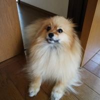 27位のイメージ