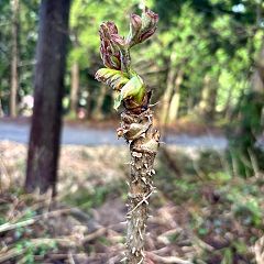 22位のイメージ