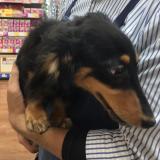 80位のイメージ