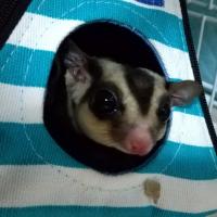 14位のイメージ