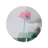 61位のイメージ