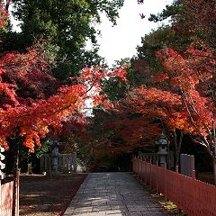 38位のイメージ