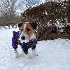 23位のイメージ