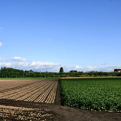 14位のイメージ