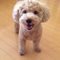 93位のイメージ