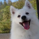 23位のイメージ