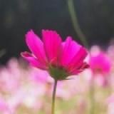 100位のイメージ