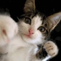 116位のイメージ