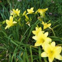 11位のイメージ