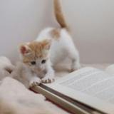 90位のイメージ