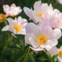 83位のイメージ