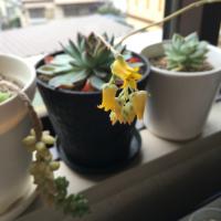 21位のイメージ