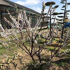 18位のイメージ