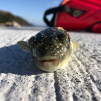 10位のイメージ