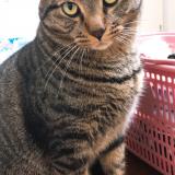 39位のイメージ