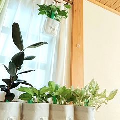 21位のイメージ