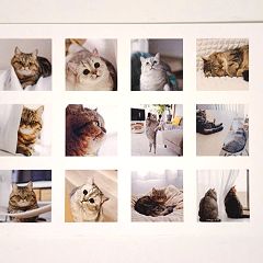 13位のイメージ