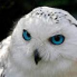 28位のイメージ