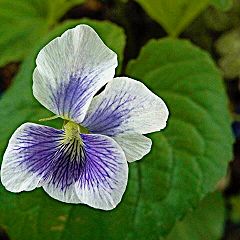 73位のイメージ