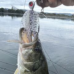 18位のイメージ